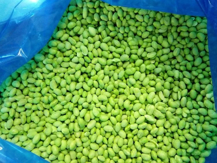 IQF Frozen Peeled Soybean Edamame Kernels