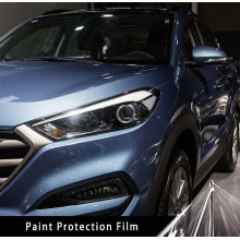 cost to paint protection film