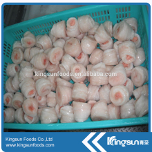 Continuously supply for frozen Yellow Fin Sole/Rock Sole Medalion/Roll (Limanda Aspera)