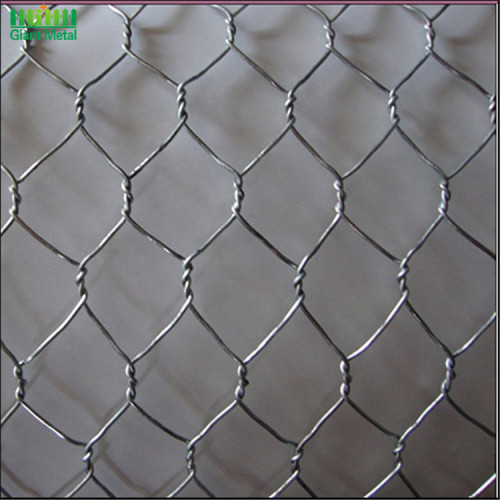 Double Twist Hexagonal Hole Shape Application Gabion Wall