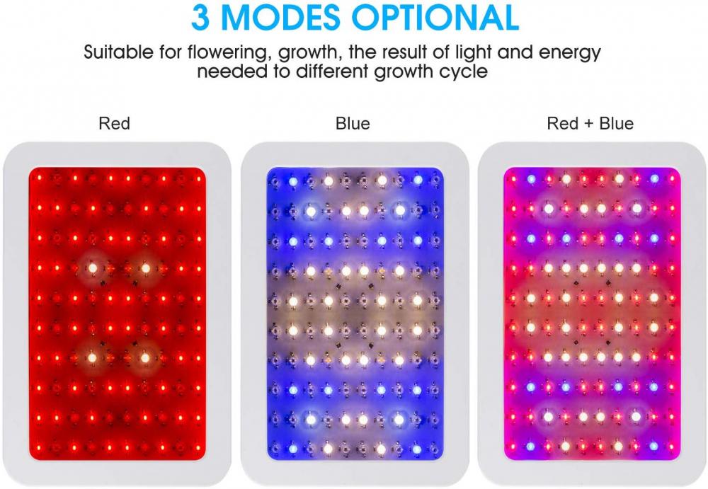 The best led grow lights 2019