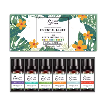 100 Pure Aromatherapy Oil Set Diffuser -10ml Pure Essential oil set