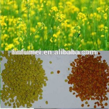 China beekeeper 100% high purity bee rape pollen