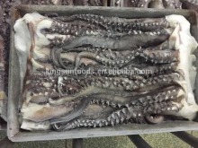 New season Frozen Giant squid tentacle