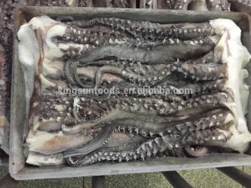 New season Frozen Giant squid tentacle