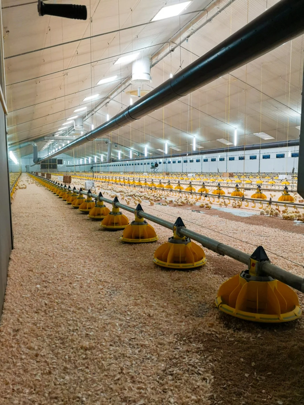 Smooth Dimming Without Flickering to 0.2% Light Dimmer for Poultry Farm