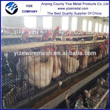 China Manufacture types of layer chicken cages for zimbabwe poultry farm