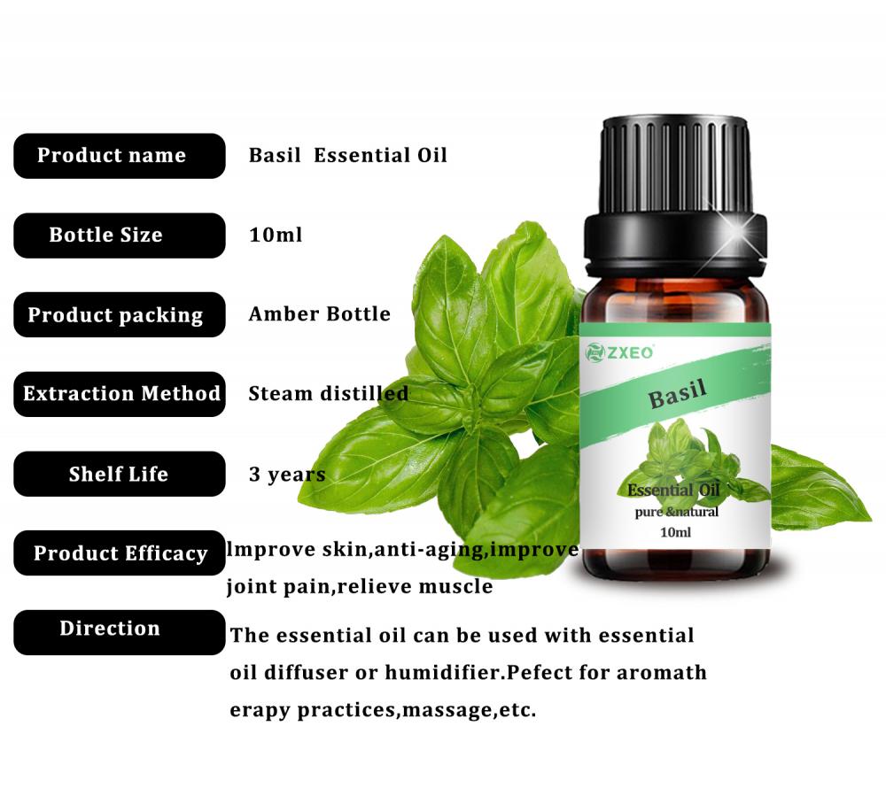 100% Natural Pure Basil Oil For Aromatherapy Use Private Label Pure Organic Hair care Essential oil