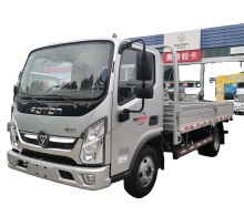 foton Diesel Engine Foton Aoling Youth  foton mini truck