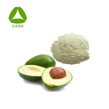 Natual Avocado Seed Extract Powder Freezed Dried