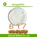 Amygdalin 98% graines d'abricot amère extraire la poudre vb17