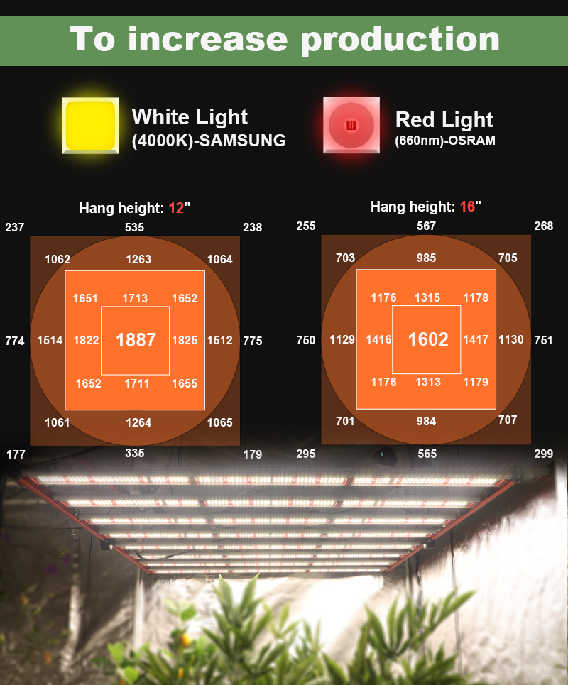 Inomhus hydroponic 800W Full Spectrum LED Grow Light