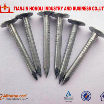 Roofing Clout Nail with Galvanized Surface
