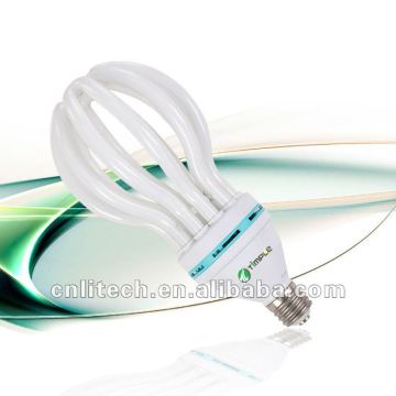 export Bangladesh 8000H lotus energy saving lamp