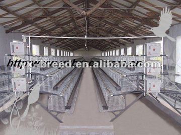 battery pullet rearing cage poultry equipment,baby chick cage