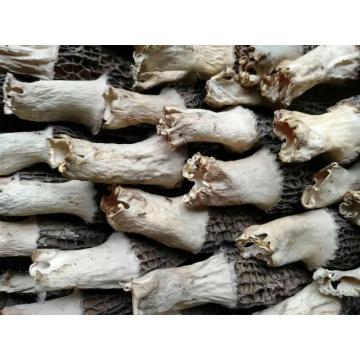 Pengeringan udara pam haba fungus yang boleh dimakan