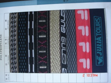 TMW02 PP Webbing