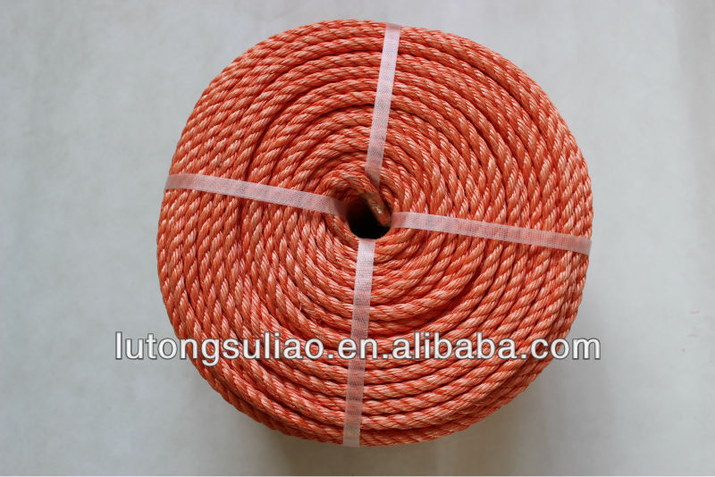 Danline Type and PP Material Polypropylene Rope