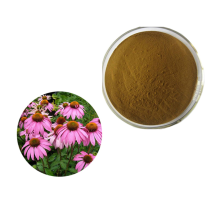 Water Soluble Herbal Extract Echinacea Purpurea Powder