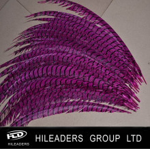 Bottom Tail Pheasant Feather for Dyed Lady Amherst Feather (RT022)