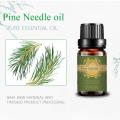 Bulk Pine needle essential oil for body care