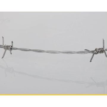 Galvanized Barbed Wire Cheapest Price