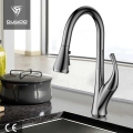 Faucet wastafel dapur 1-Handle dengan semprotan