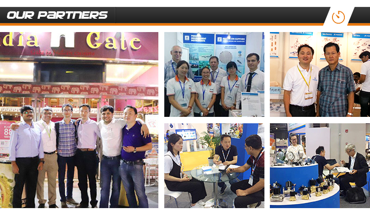 Temperature Sensor Module/Temperature Transmitter Module,Module