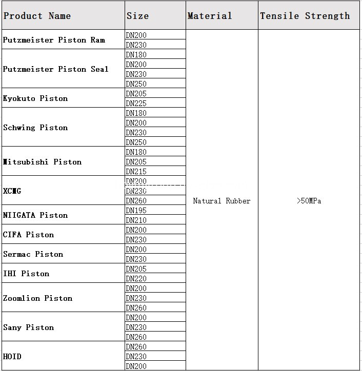 piston system