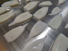 Seafood Company With Dried Squid Frozen Squid Tubes