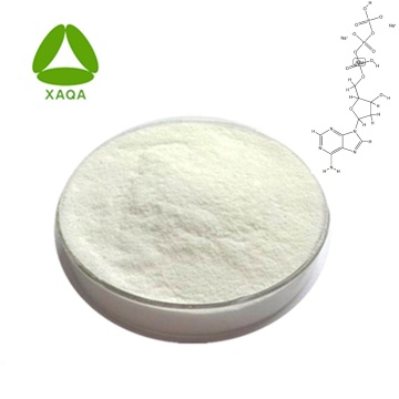 Poudre de gomme de guar d&#39;agent épaississant CAS 9000-30-0