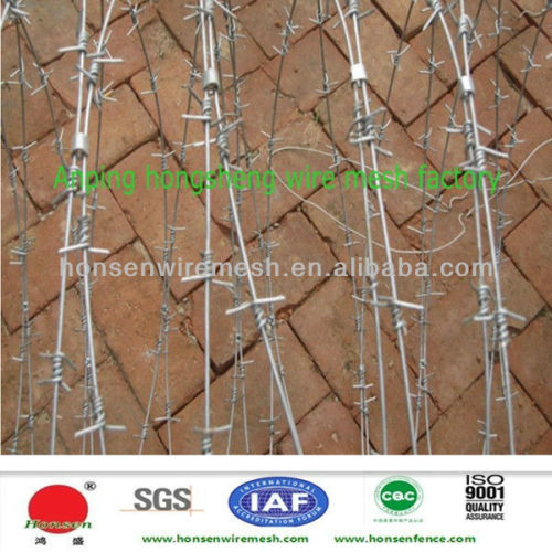 Factory galvanized decorative barbed wire fencing