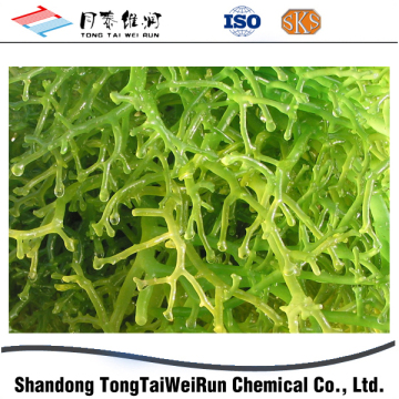 Tongtaiweirun Carrageenan Manufacturers/ Carrageenan Thickners