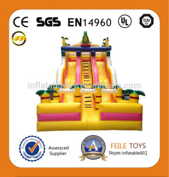 Feile-H62 inflatable hippo slide inflatable dry slide inflatable blue slide