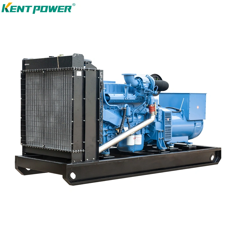 Chinese Manufacture Yuchai Geneating Set Electric Moter Silent/Open Single/Three Diesel Generator Set