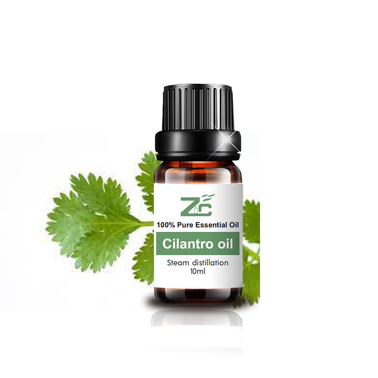 روغنهای اساسی اسانس اسانس Cilantro