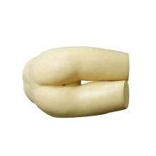 DARHMMY Medical Nursing Enema Training Simulation Model