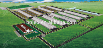 Dairy farm design & construction