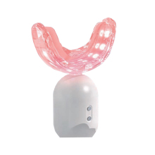 2023 Customized Rechargeable Teeth Whitening LED Kit with Label and Logo