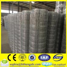 supplier grassland fence/goats fence/farm fence