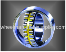 Extra Large Spherical Roller Bearings?