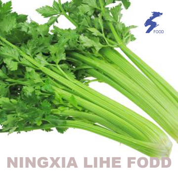 Celery leaves  Air Dried