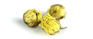 Chrysanthemum dried for tea