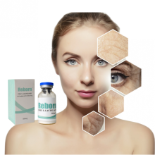 Aging Skin Hyaluronic Acid PLLA Fillers Treatment