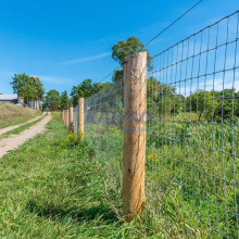 Custom Hot-Dip Galvanized Cattle Fence Nets for Forest Protection and Wildlife Conservation