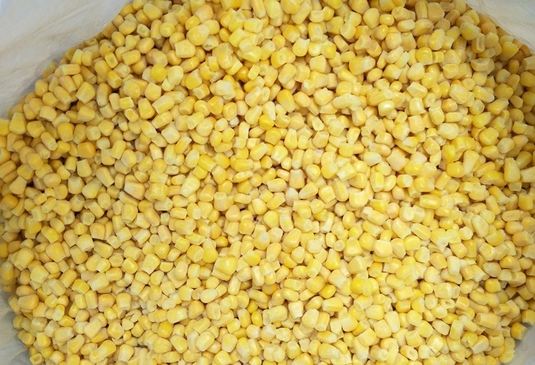 IQF Frozen Vegetables Sweet Corn