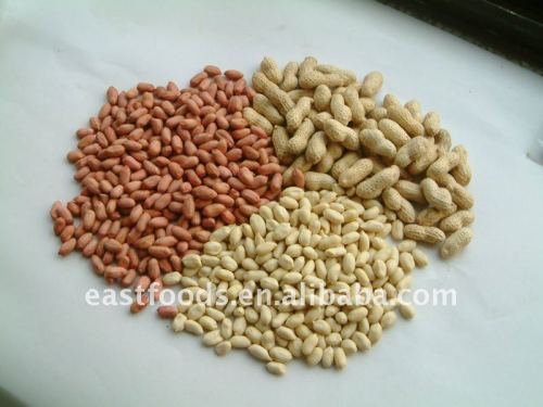 2013 new crop blanched Groundnut