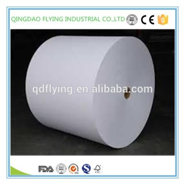 cheap price pe coated paper roll