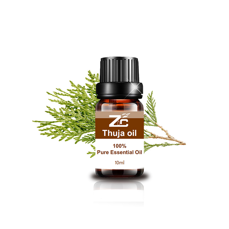 Huile essentielle de thuja biologique pour le diffuseur d&#39;aromathérapie