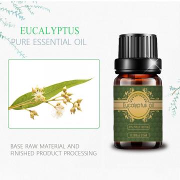 OEM Label Privat Kustom Minyak Esensial Eucalyptus